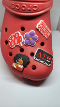 Load image into Gallery viewer, DST Shoe Charms