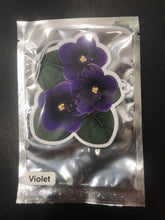 Load image into Gallery viewer, DST Air Fresheners